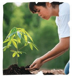 Social Impact & Solutions 