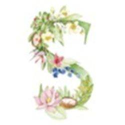 s_logo