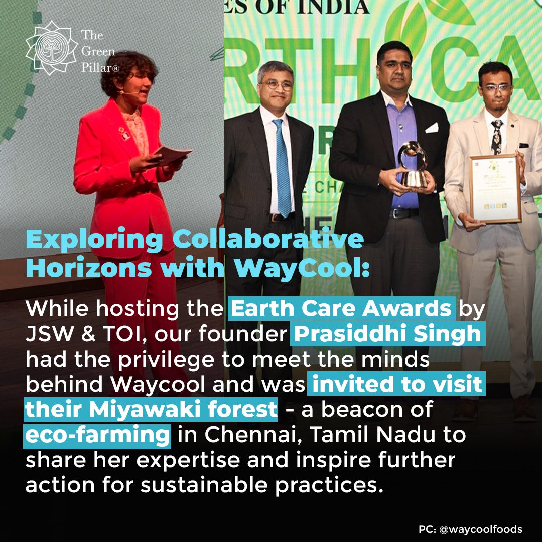 WayCool-06